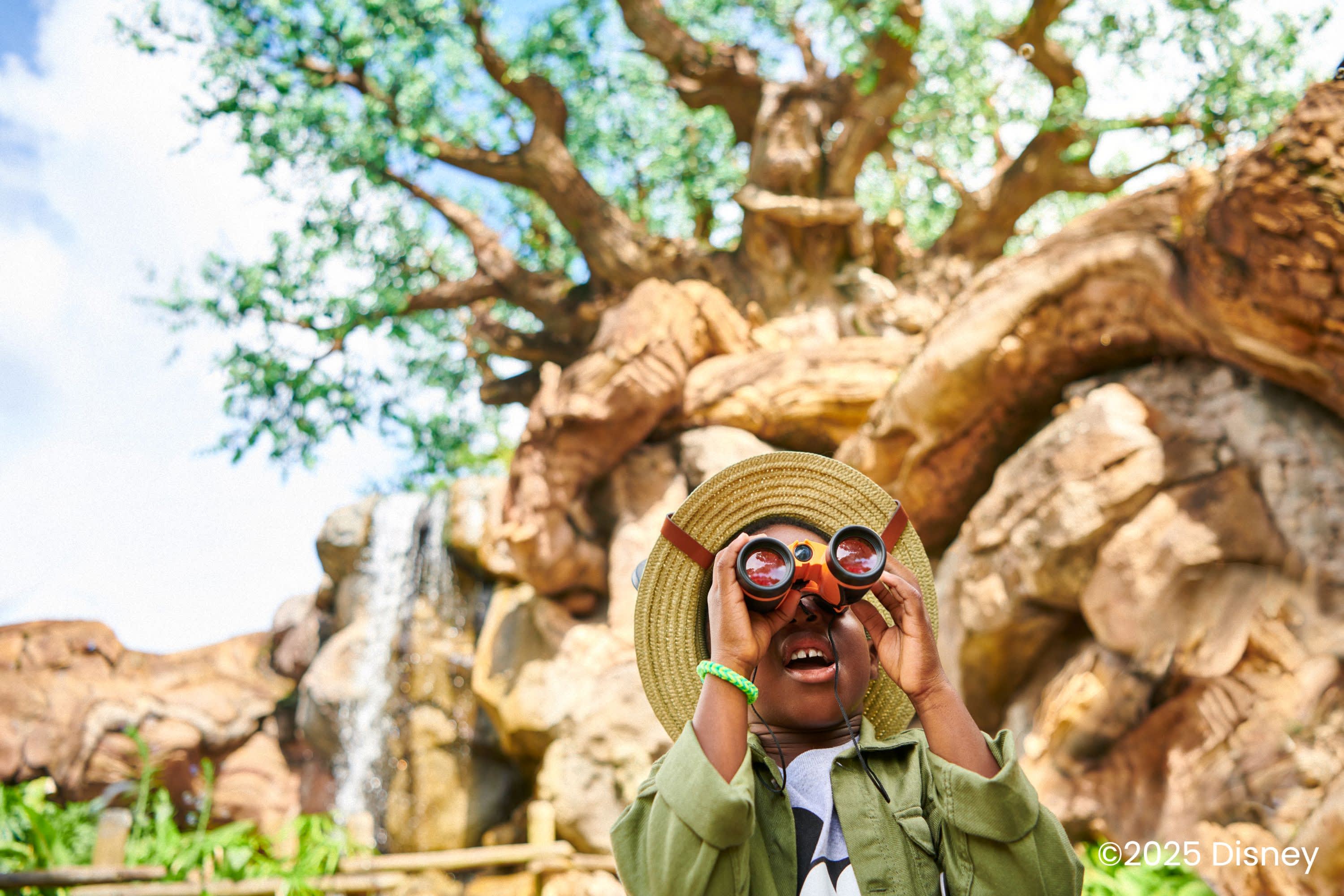 ディズニー】フロリダディズニーワールド50周年！お宝公式映像